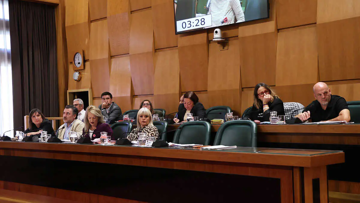 pleno-ayto-pilar