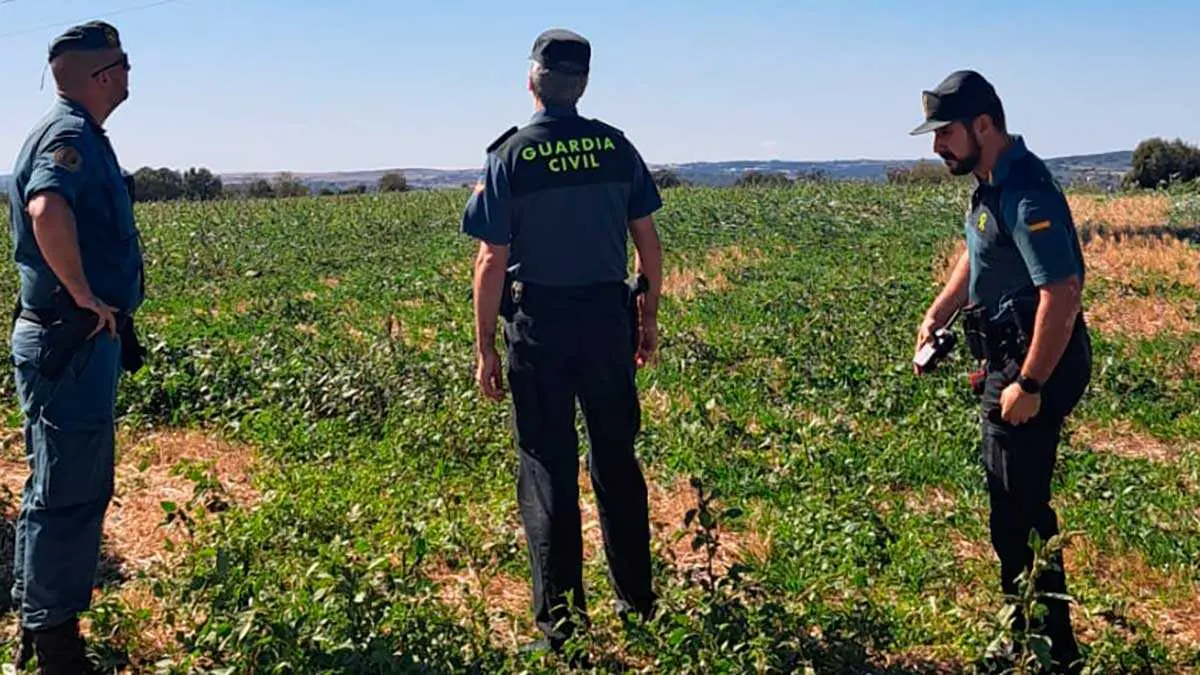 El dispositivo peinando la zona. Foto: Guardia Civil