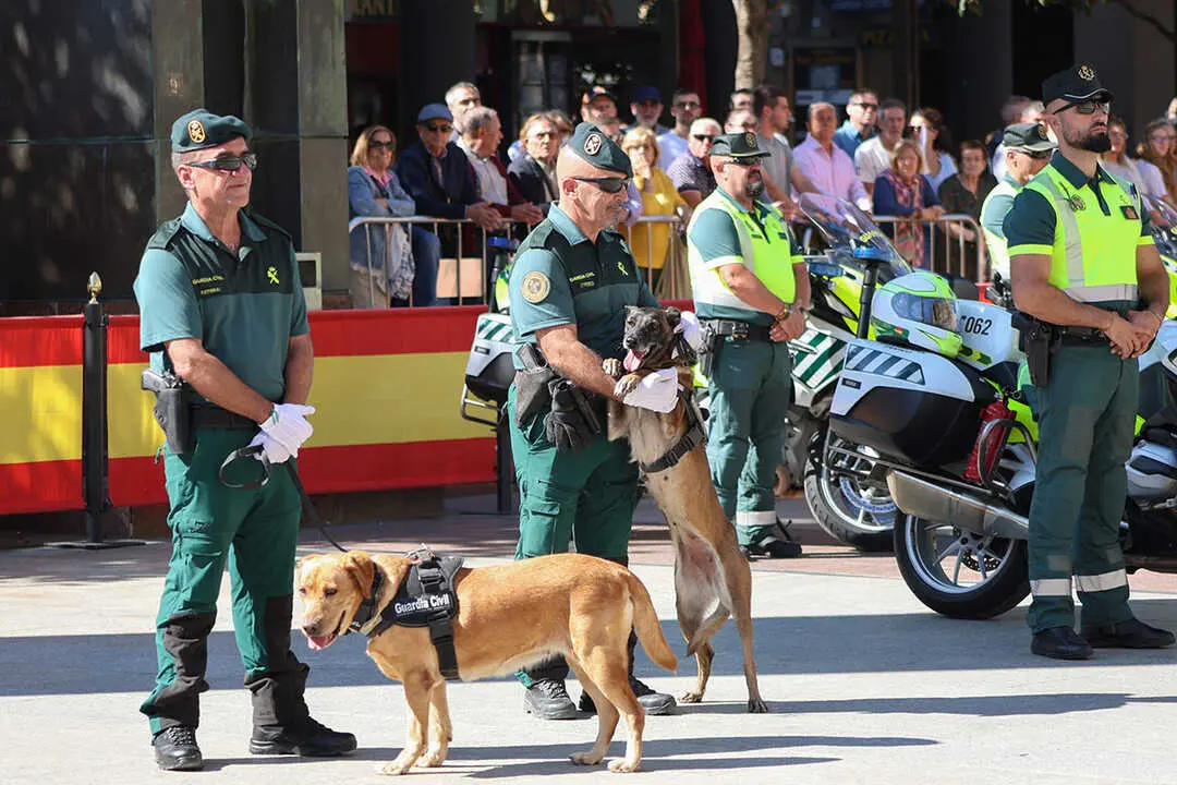 patrona-guardia-civil-61