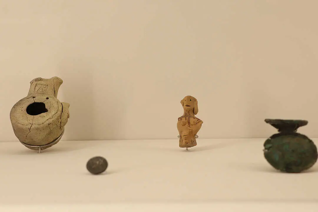 expo-romana-5