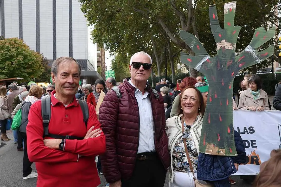 manifestaci&oacute;n-cambio-clim&aacute;tico-13