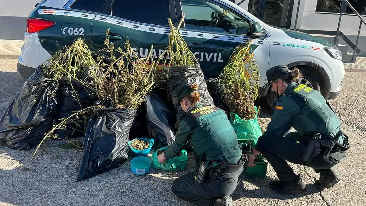 En total, se incautaron 23,26 kilos de marihuana, adem&aacute;s de 1,5 gramos de una sustancia blanquecina, supuestamente cristal de MDMA.