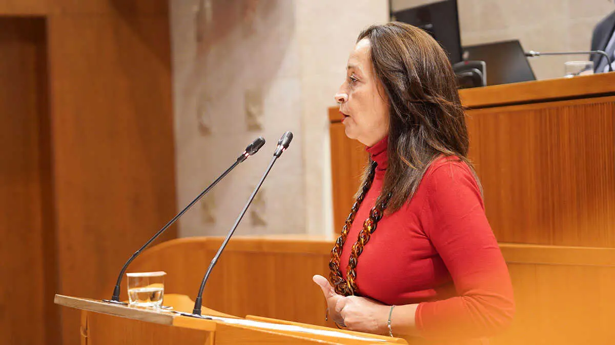 Sus&iacute;n interviene en el Pleno. Foto: Cortes de Arag&oacute;n