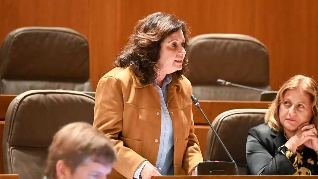 Ana Arellano durante su intervenci&oacute;n en las Cortes de Arag&oacute;n