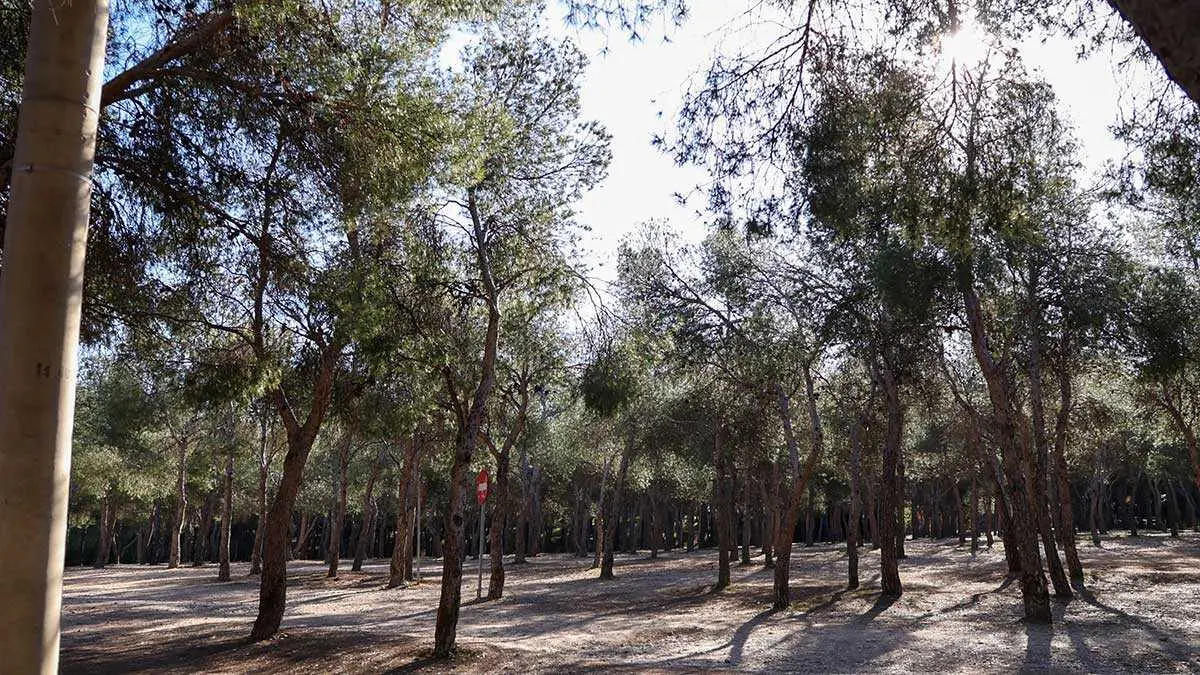 pinares-venecia-parque-atracciones-protestas-vecinales-zaragoza