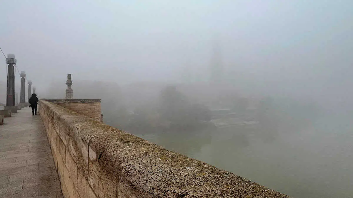 niebla