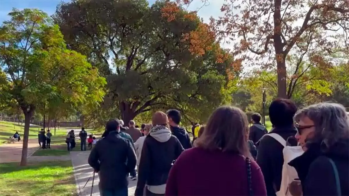 Almez-Parque-Bruil-&Aacute;rbol-Espa&ntilde;a-Tercero