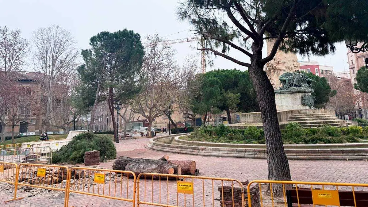 plaza-sitios-zaragoza-arboles-ca&iacute;da-pinos