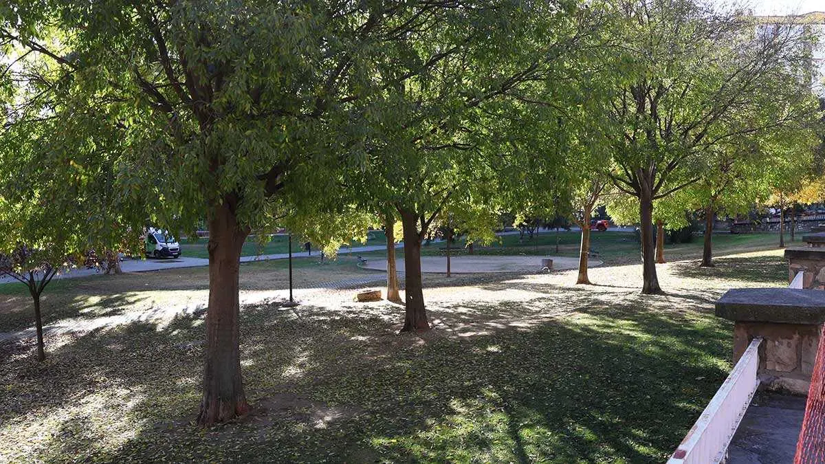 Parque-Bruil-Zaragoza-Obras-Insalubridad-Vallado