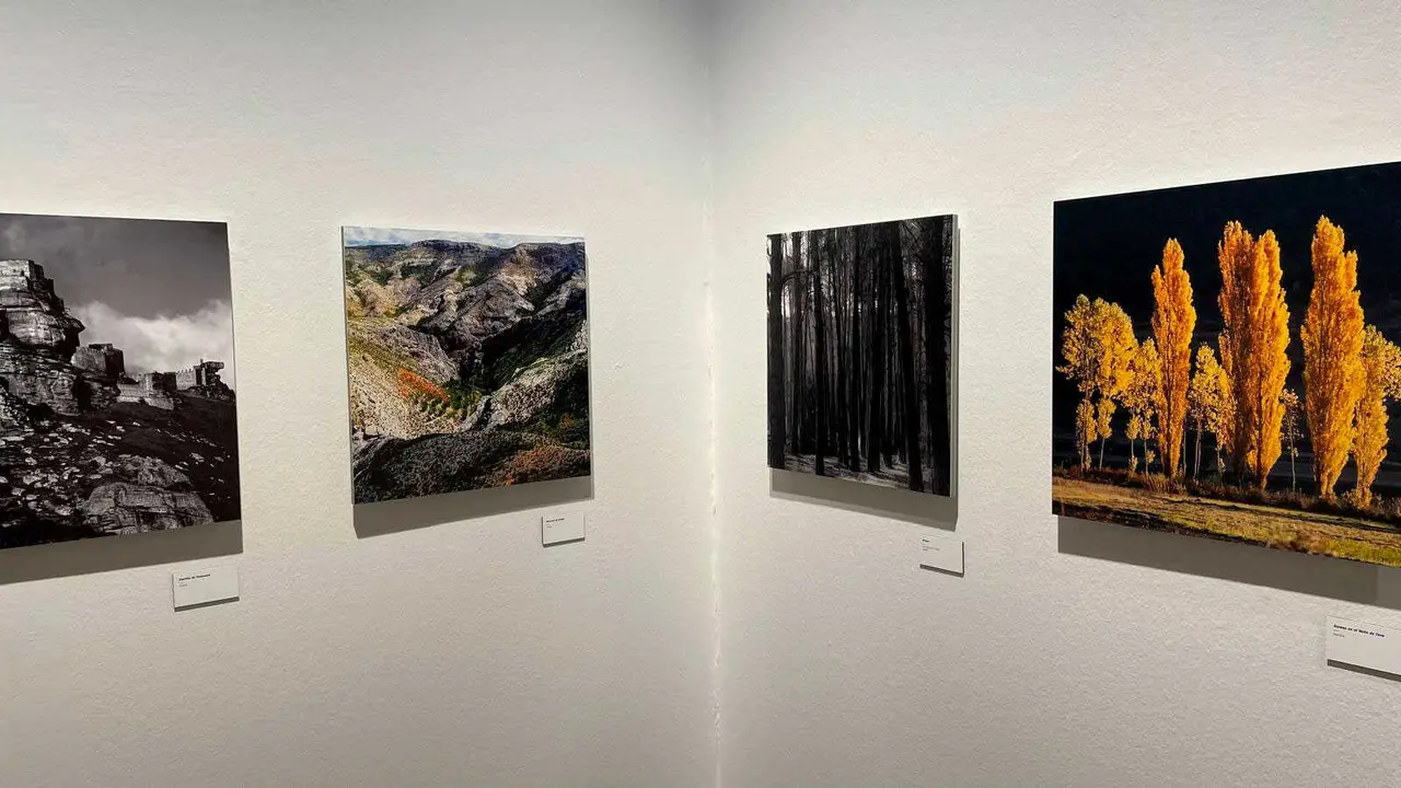 Exposici&oacute;n-Fernando-Alvira-1