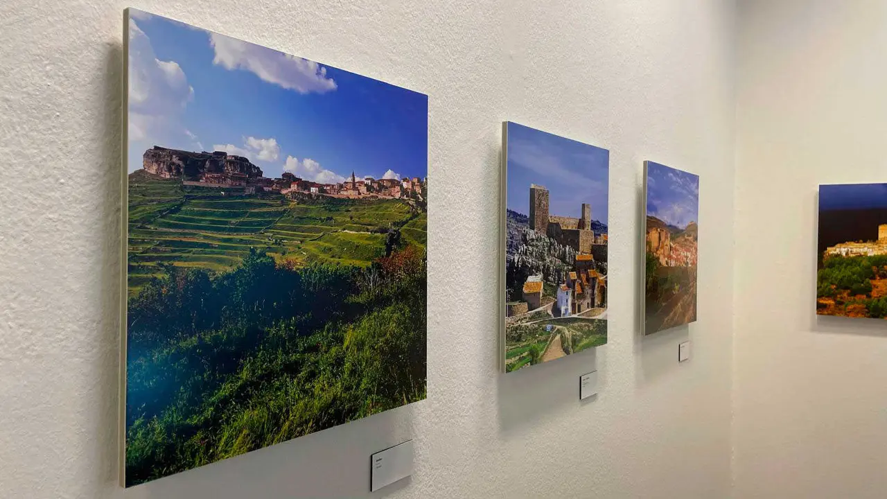 Exposici&oacute;n-Fernando-Alvira-3