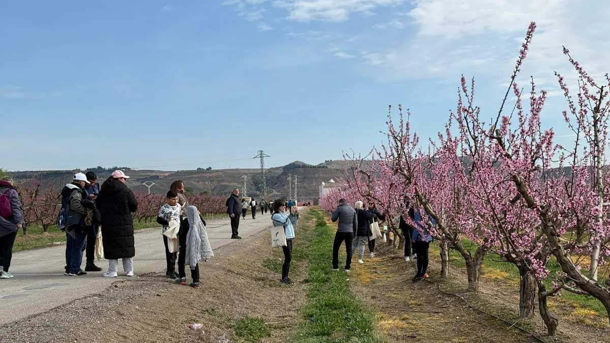 Turistas durante la ruta celebrada en 2025. Foto: Ayuntamiento de Fraga.