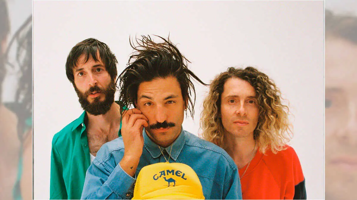 Sexy-Zebras