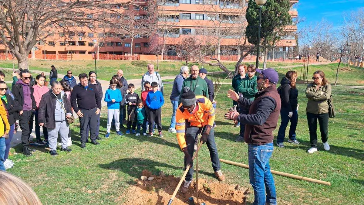 Plantaci&oacute;n de un &aacute;rbol en el Parque Bruil. Foto: I. M. / Actualidad Media