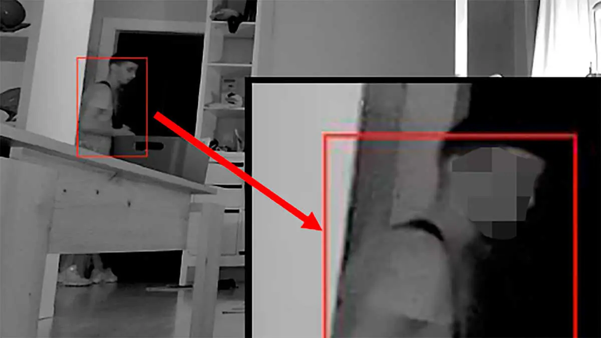 Las c&aacute;maras de seguridad de la vivienda de Zaragoza captaron a un ladr&oacute;n mientras en su interior mientras los due&ntilde;os dorm&iacute;an. Foto: Arag&oacute;n Press