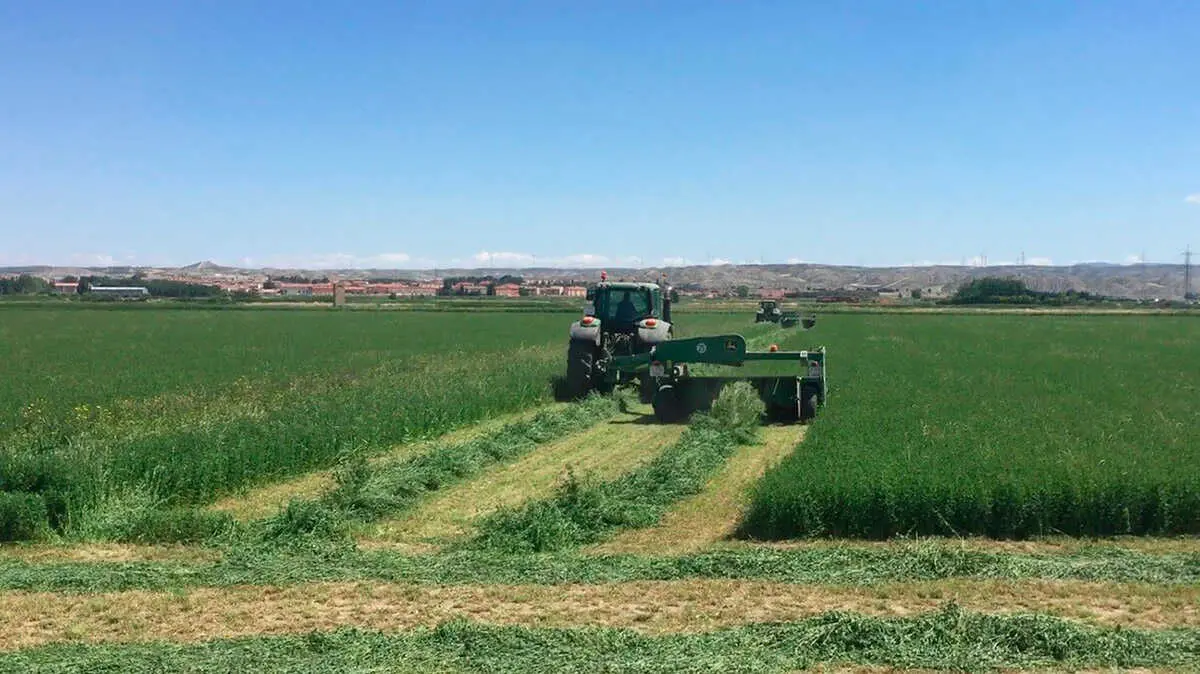 COAG explica que Espa&ntilde;a no depende de los pa&iacute;ses del Golfo P&eacute;rsico para importar urea y crudo | Foto: Arag&oacute;n Press
