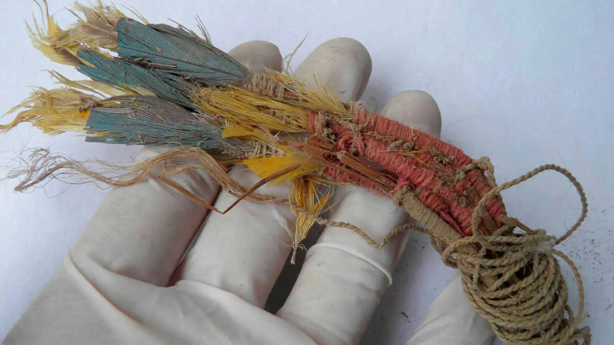 PLUMAS