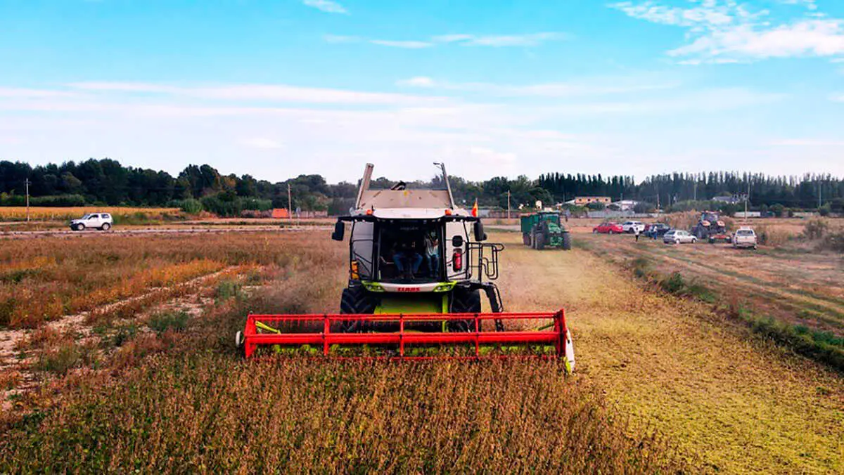 CAMPO