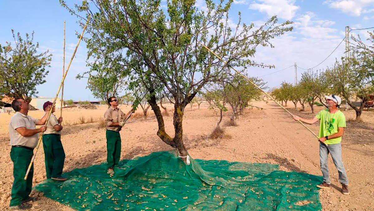 El Departamento de Agricultura alcanza hasta 81 millones en pr&eacute;stamos con aval p&uacute;blico para modernizar explotaciones y apoyar a j&oacute;venes | Foto: DGA