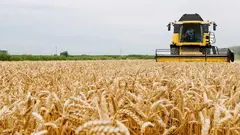 Se espera una cosecha media de cereal de invierno, el cual se vio afectado por las altas temperaturas en mayo | Foto: Arag&oacute;n Digital