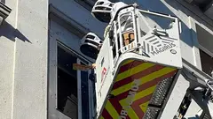 Los Bomberos de Zaragoza han actuado este jueves por un enjambre de abejas en el centro de Zaragoza. Foto: M. R.
