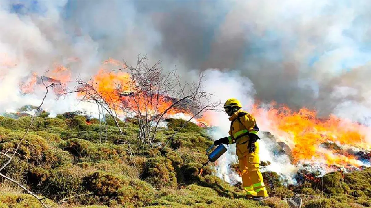 La campa&ntilde;a de prevenci&oacute;n y extinci&oacute;n de incendios forestales de 2026 contar&aacute; con un despliegue diario de 627 profesionales y una inversi&oacute;n que supera los 54,8 millones de euros.