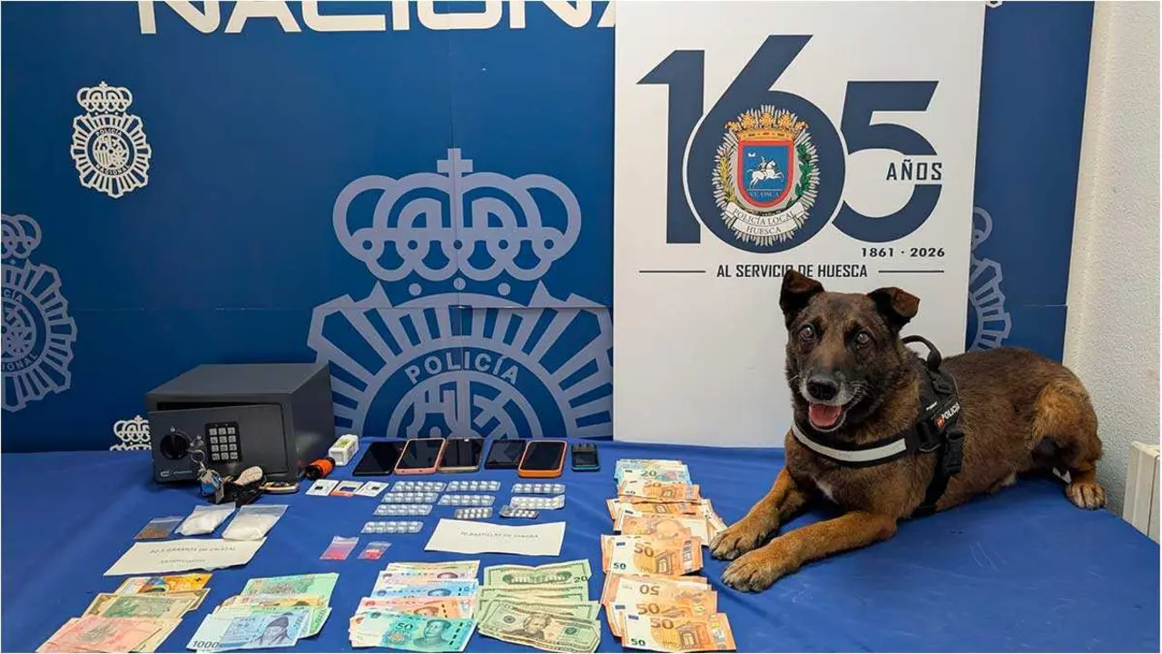 La Unidad Canina de Apoyo y Seguridad (UCAS) de la Polic&iacute;a Local de Huesca particip&oacute; en la operaci&oacute;n. Foto: Polic&iacute;a Nacional