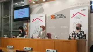 La consejer&iacute;a de Ciudadan&iacute;a y Derechos Sociales consigui&oacute; aumentar las familias de acogida de 39 a 89 