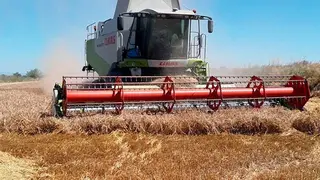 Olona ha resaltado que el mayor problema que existe en Arag&oacute;n y Espa&ntilde;a es que &ldquo;somos grandes productores ecol&oacute;gicos, pero d&eacute;biles consumidores&rdquo;