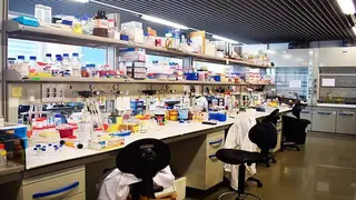 Las tecnolog&iacute;as PET y Tomograf&iacute;a Computarizada detectan la diseminaci&oacute;n del c&aacute;ncer de pr&oacute;stata con una precisi&oacute;n del 92%