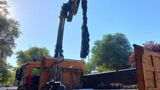 Los principales elementos fibrosos recogidos son toallitas