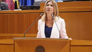Mar Vaquero ha urgido a Lamb&aacute;n a considerar su propuesta antes del consejo de Ministros