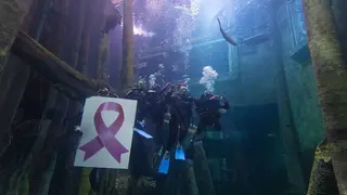 D&iacute;a C&aacute;ncer de Mama