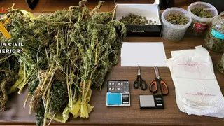 Marihuana Mall&eacute;n