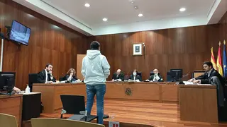 Fiscal&iacute;a y acusaci&oacute;n piden para el hombre un total de 30 a&ntilde;os de prisi&oacute;n por abuso sexual