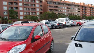 Los dos j&oacute;venes destrozaron retrovisores, rejillas, cap&oacute;s y matr&iacute;culas