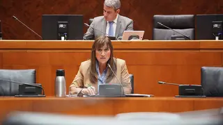 Estar&aacute; en funcionamiento a comienzos de 2023