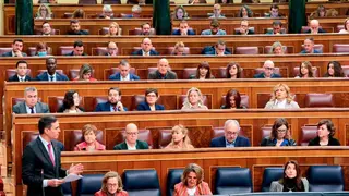 Pedro S&aacute;nchez en el Congreso 