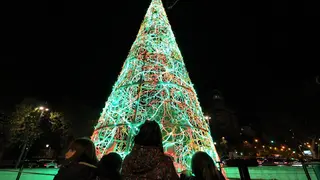 &Aacute;rbol Plaza Arag&oacute;n
