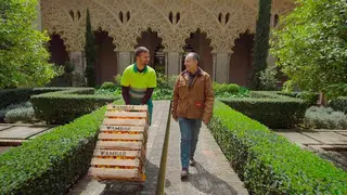cervezas &aacute;mbar ambiciosa en el Palacio de la Aljafer&iacute;a