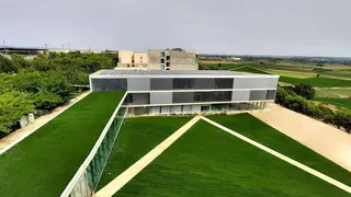 Se da luz verde al acuerdo entre la instituci&oacute;n y el Gobierno de Arag&oacute;n