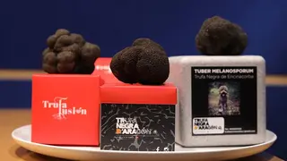 Imagen de Trufa negra