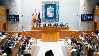 El proyecto ha contado con el apoyo de todos los grupos salvo IU, que se ha abstenido