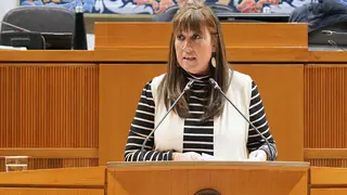 Repoll&eacute;s ha subrayado que las propuestas van en sinton&iacute;a con lo establecido por el Justicia en el informe