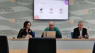 El plan contiene nueve l&iacute;neas de actuaci&oacute;n