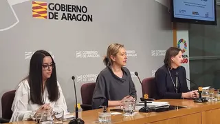 Gast&oacute;n en rueda de prensa