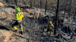 Bomberos inspeccionan la zona del incendio
