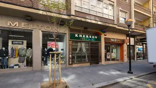 plantaci&oacute;n de &aacute;rboles en alcorques de la v&iacute;a p&uacute;blica de Zaragoza