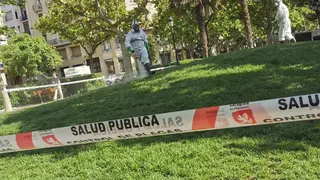 Tratamiento Garrapatas