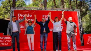 PSOE D&iacute;a Rosa